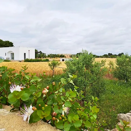 Casina Pompiliano * Нардо