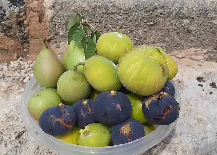 Casina Pompiliano Appartement