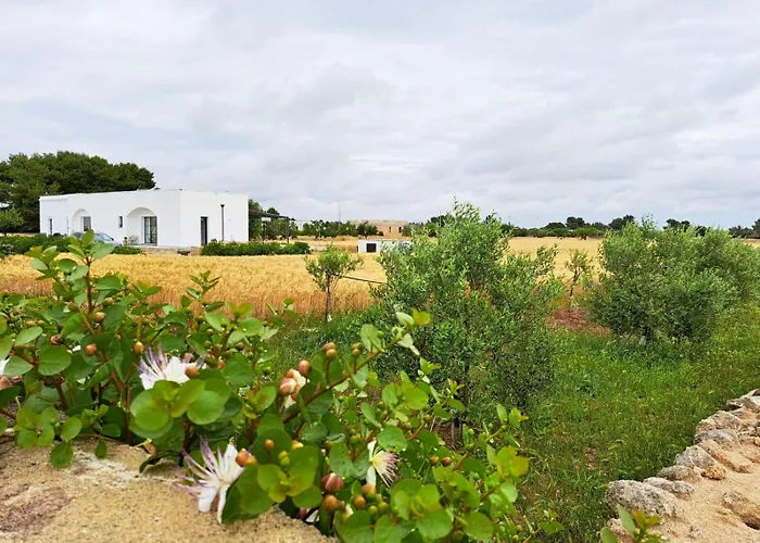 Casina Pompiliano * Nardò